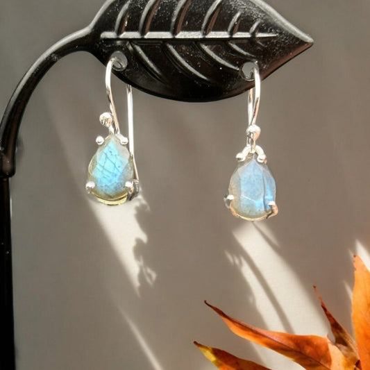 Teardrop Labradorite Earrings